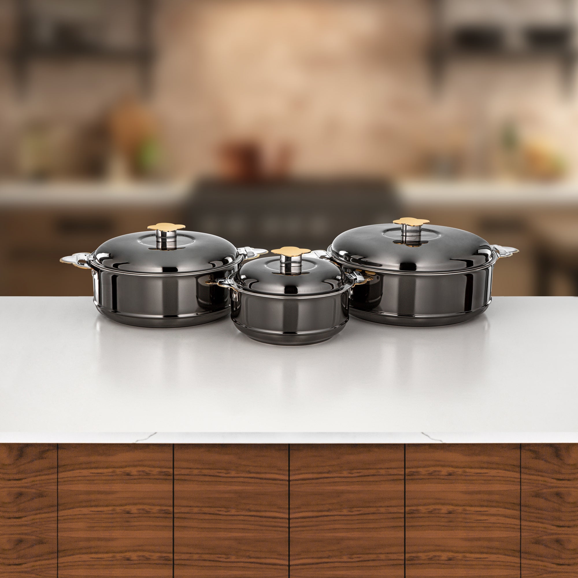 طقم حرارات المرجان فيدا، ٣ قطع بسعات ١.٥ لتر، ٢.٥ لتر و٣.٥ لتر، باللون الأسود المعدني والذهبي