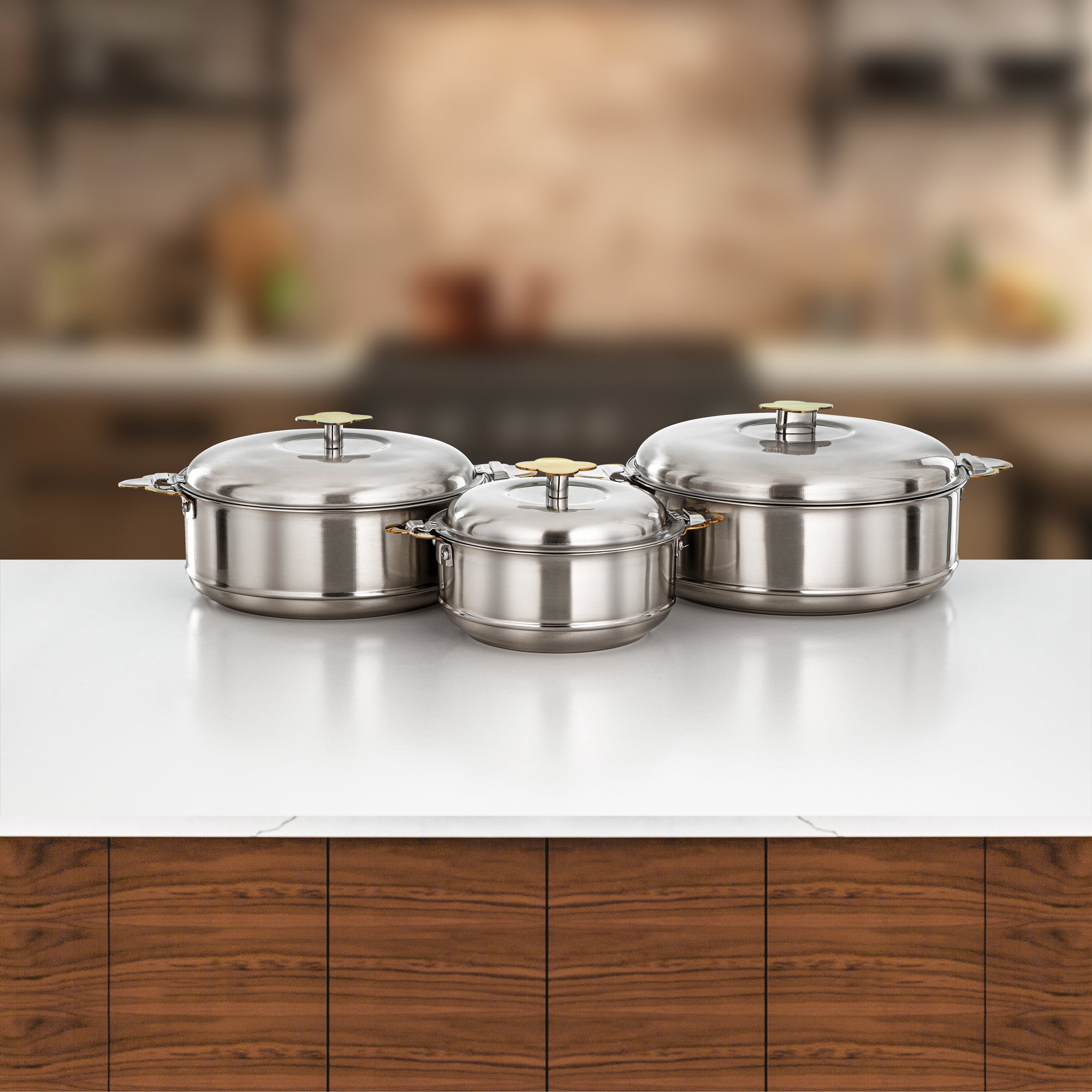 طقم حرارات المرجان فيدا، ٣ قطع بسعات ١.٥ لتر، ٢.٥ لتر و٣.٥ لتر، فضي غير لامع وذهبي